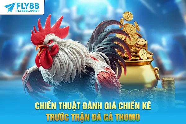 Đá Gà Thomo - Phân Tích Kèo Cửa Trên Và Chiến Thuật Cược 9 Chiến thuật đánh giá chiến kê trước trận đá gà Thomo